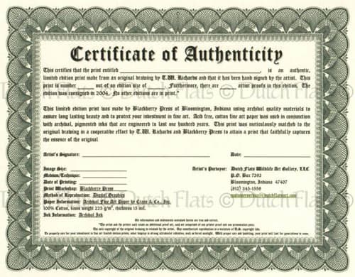 nfl certificate of authenticity template