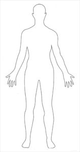 Human Body Outlines - Word Excel Samples